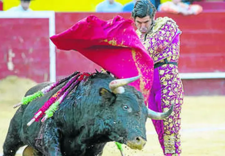Morante de la Puebla, con su traje de luces, se enfrenta a un toro bravo en la arena.