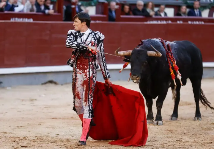 Un torero, con traje de luces manchado de sangre, se enfrenta a un toro bravo. Es una escena de **que es la tauromaquia en España**, un arte controvertido.