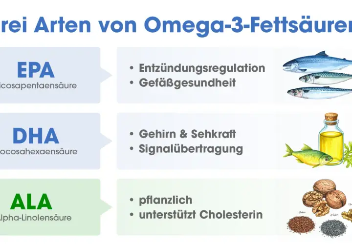 EPA, DHA, ALA: Die Omega 3 Wirkung für Entzündungen, Gefäße, Gehirn, Sehkraft & Cholesterin.