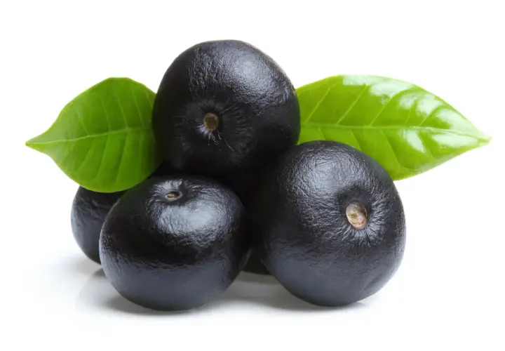 Acai, piccoli frutti viola scuro con foglie verdi, noti per le loro eccezionali proprietà benefiche.