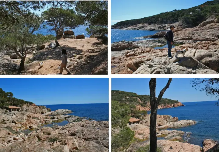 Disfrutando del camí de ronda en Tamariu, con vistas al mar azul y la costa rocosa. Un paseo con perro por senderos naturales.