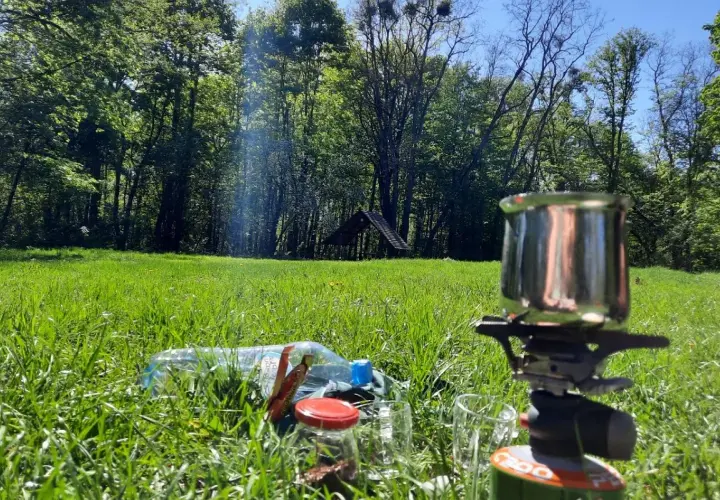 Idealne miejsce, by zanocuj w lesie. Kawa, woda i kuchenka turystyczna na trawie, w otoczeniu drzew.