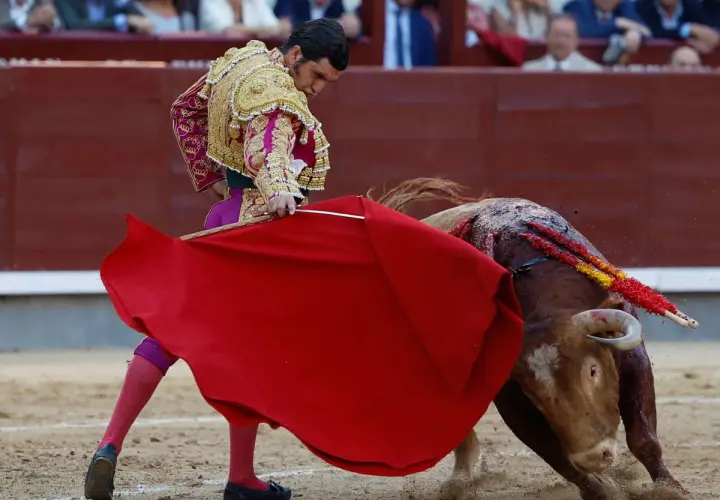 Torero con traje de luces, capa roja y un toro herido con banderillas, preparándose para el descabello.