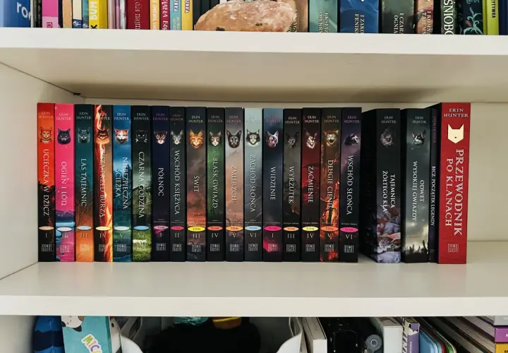 Półka z książkami dla 5 latka, seria Wojownicy Erin Hunter. Kolorowe okładki z kotami i tytułami jak "Ucieczka w dzicz".