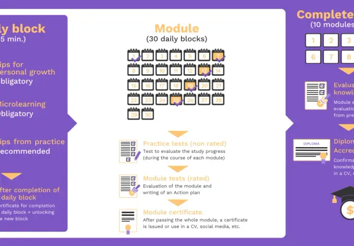 Infographic detailing the structure of an online MPA program, including daily blocks, modules, tests, and final accreditation.