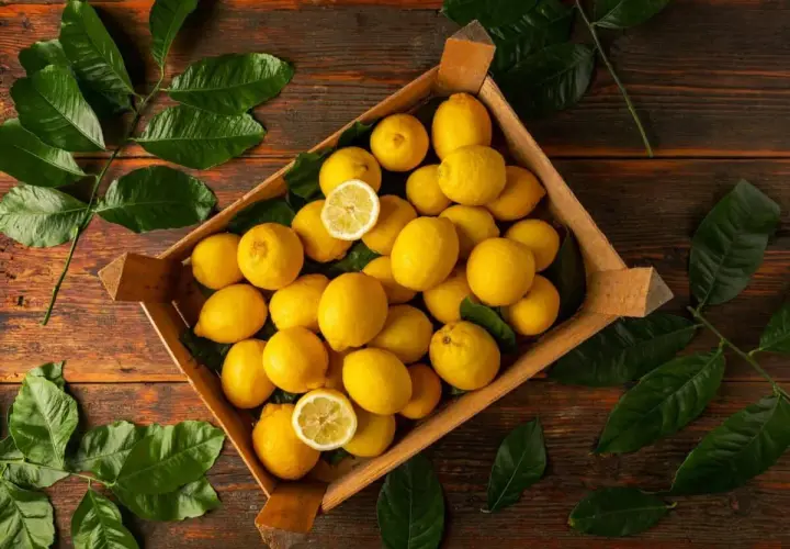 Une caisse remplie de citrons jaunes éclatants, parfaits pour savoir que faire avec beaucoup de citrons jaunes. Des feuilles vertes luxuriantes entourent le tout.