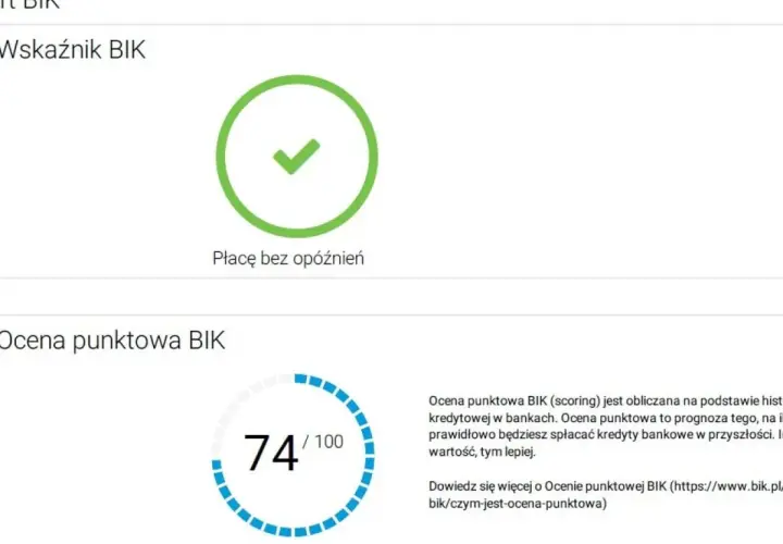 BIK: Sprawdź historię kredytową krok po kroku. Zyskaj kontrolę!