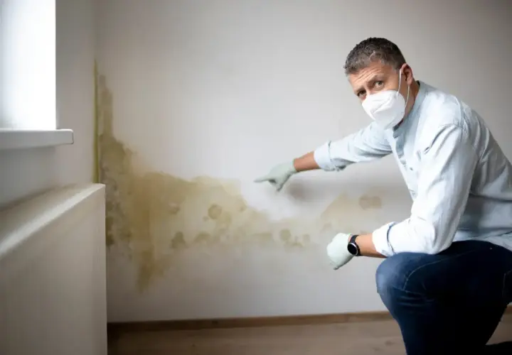 Mann mit Maske und Handschuhen zeigt auf Schimmel an der Wand. Er sucht nach Hausmitteln, um Feuchtigkeit aus der Wand zu ziehen.