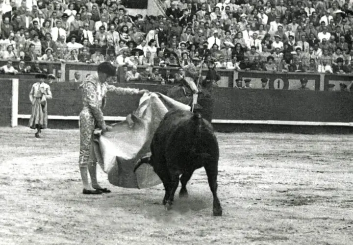 El **toro que mató a Manolete** embiste en la plaza, ante un público expectante.