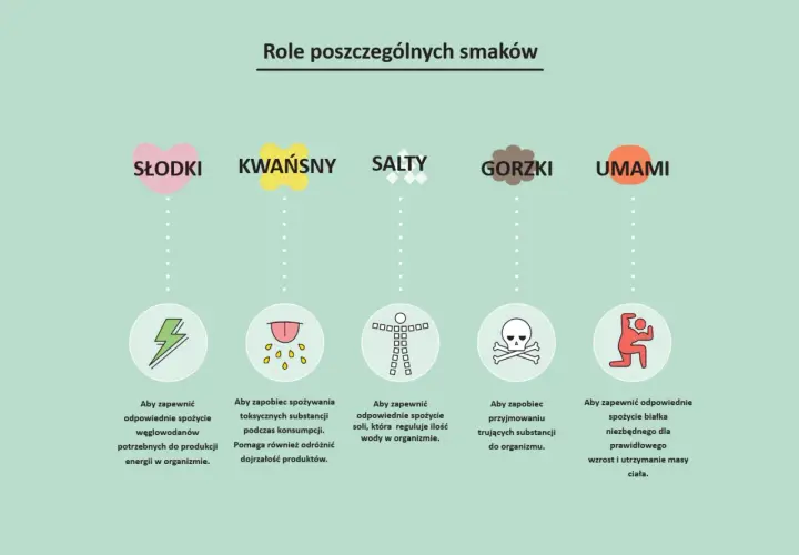 Ilustracja przedstawia role pięciu smaków: słodkiego, kwaśnego, słonego, gorzkiego i umami, z ikonami i opisami.