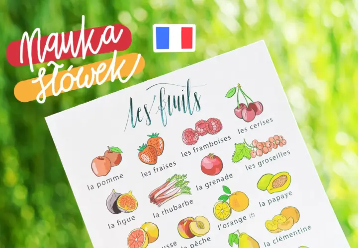 Nauka słówek po francusku: ilustrowana karta z owocami, m.in. jabłka, truskawki, maliny, wiśnie, granat, agrest, figi, rabarbar, pomarańcze, papaja, brzoskwinie, mandarynki.