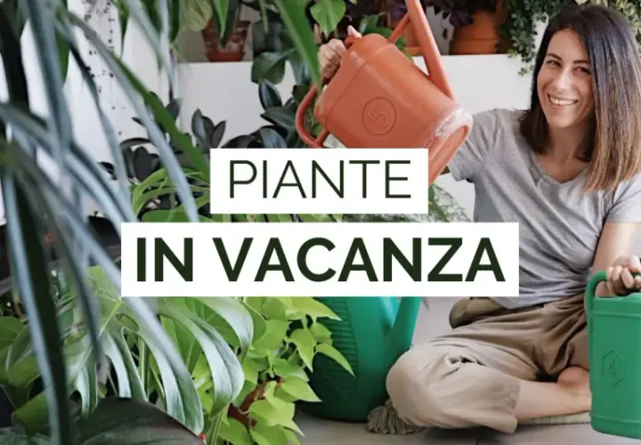 Donna sorridente con annaffiatoi, circondata da piante rigogliose. Impara come innaffiare le piante in vacanza per mantenerle sane.