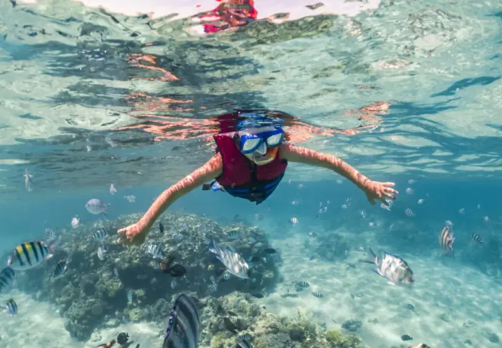 Dziecko w masce i kamizelce pływa wśród ławicy ryb. Woda jest przejrzysta, a dno piaszczyste. Czy morze czerwone jest ciepłe? Tak, jest idealne do snorkelingu!
