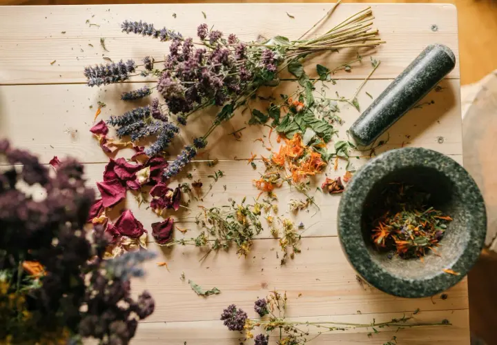 Homeopatia: Recepta czy bez? Poznaj zasady i miejsca zakupu!