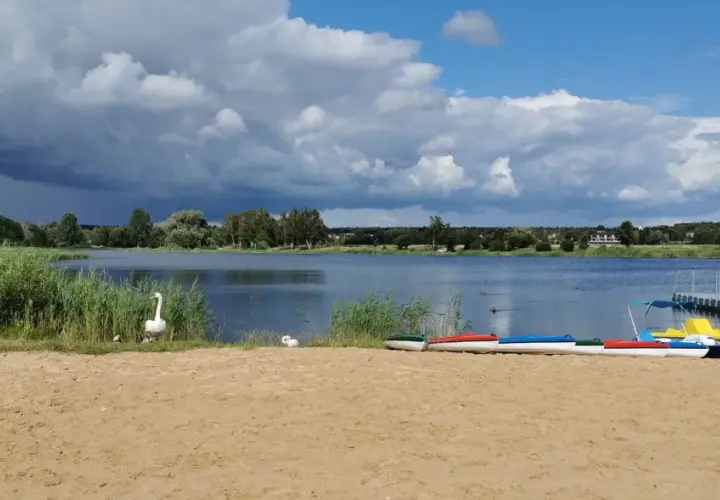 Plaża z łabędziami i kolorowymi rowerami wodnymi nad jeziorem w Grabicy.