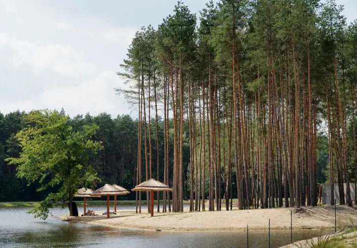 Plaża nad jeziorem z parasolami i lasem sosnowym. Idealne miejsce na wypoczynek, świetne krasnobród atrakcje dla dzieci.