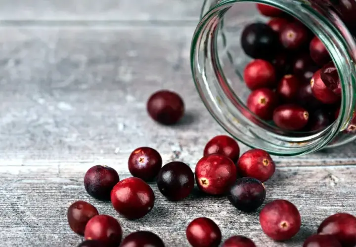 Frische Cranberries, die aus einem Glas rollen. Sie sind eine gesunde Wahl, besonders für Cranberries in der Schwangerschaft.