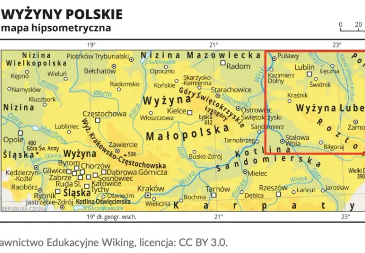 Co uprawia się na wyżynie lubelskiej? Odkryj zaskakujące rośliny