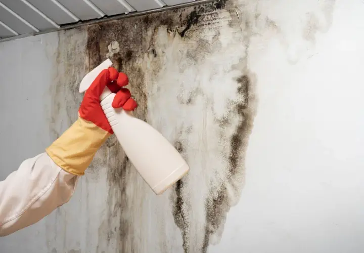 Mano con guanti che spruzza un prodotto su un muro macchiato di muffa, segno di elevata umidità nell'aria.