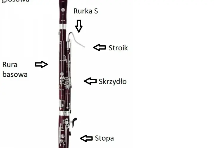 Fagot - instrument orkiestralny, historia, budowa, cena, nauka gry