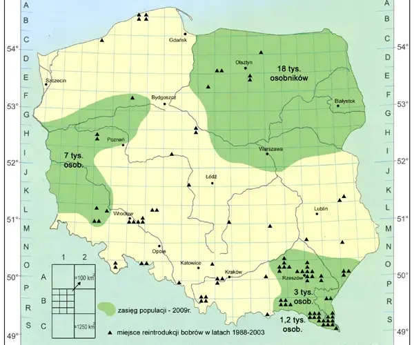 Gdzie leżą Suwałki? Odkryj ich wyjątkowe położenie w Polsce