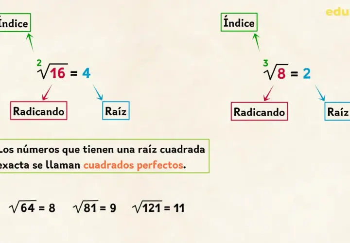 Ejemplos de raíces cuadradas exactas: √16=4, √64=8, √81=9, √121=11. Los números con raíz cuadrada exacta son cuadrados perfectos.