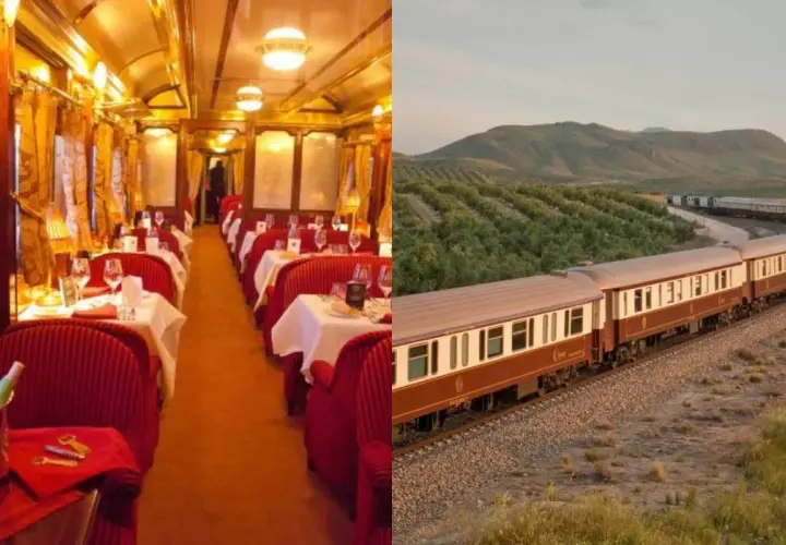 Interior lujoso de un vagón restaurante y un tren panorámico atravesando un paisaje de olivos, evocando un viaje de ensueño como el tren San Fernando Madrid.