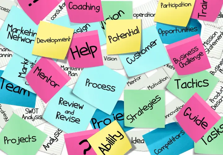 Sticky notes with business terms like "Strategy," "Team," and "Development" offer good survey comments examples for project feedback.