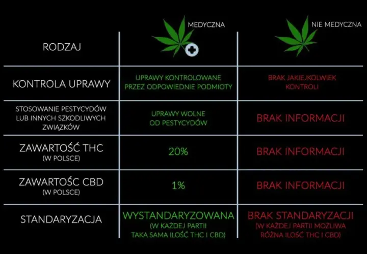 Medyczna marihuana z THC: Jak działa, ile go jest, czy uzależnia?