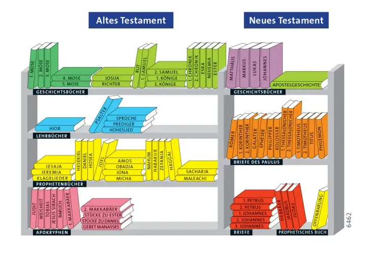 Bücherregal mit Büchern, die den Inhalt des Neuen Testaments darstellen, sortiert nach Gattungen wie Geschichtsbücher, Briefe des Paulus und prophetische Bücher.