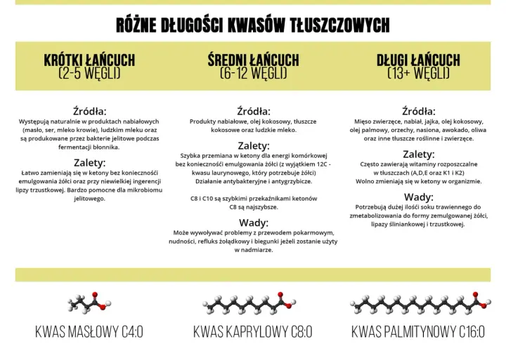 Krótkołańcuchowe kwasy tłuszczowe: 5 korzyści dla zdrowia