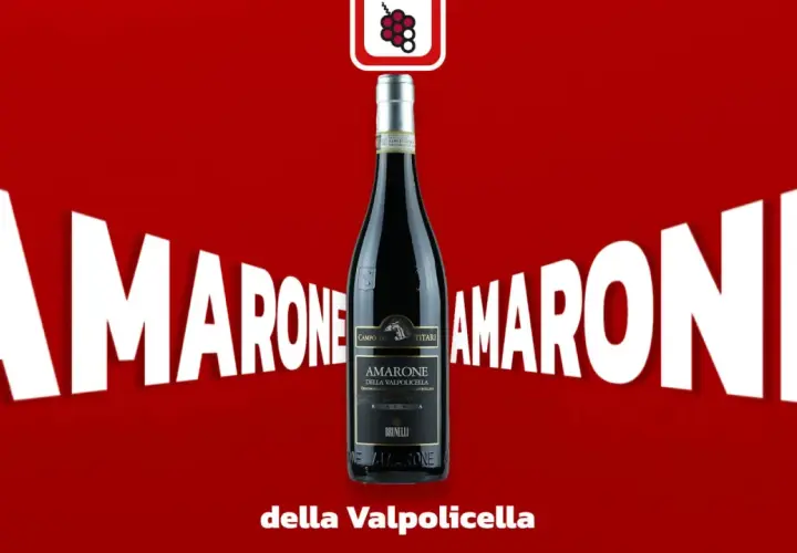 Butelka Amarone della Valpolicella, wina z metodą appassimento, na tle białych liter "AMARONE".