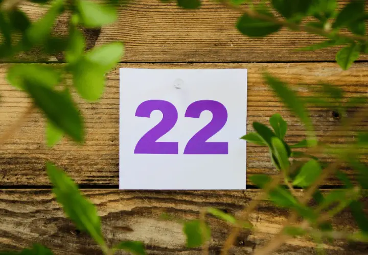 Liczba Mistrzowska 22 - Numerologia 22 - Znaczenie i Wpływ