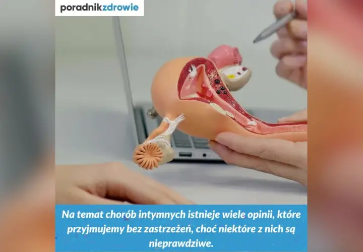 Model anatomiczny narządów rodnych kobiety, omawiający choroby intymne, w tym pęcherzycę.