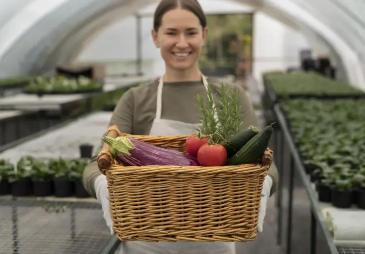 Une opératrice certiphyto souriante tient un panier rempli de légumes frais : aubergine, tomates, concombres et romarin, dans une serre.
