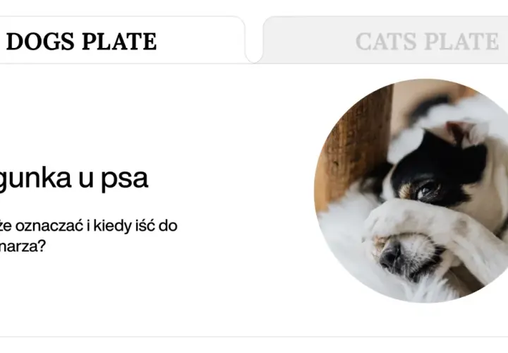 Chory piesek z zasłoniętymi oczami. Artykuł o biegunce u psa i kiedy należy udać się do weterynarza.