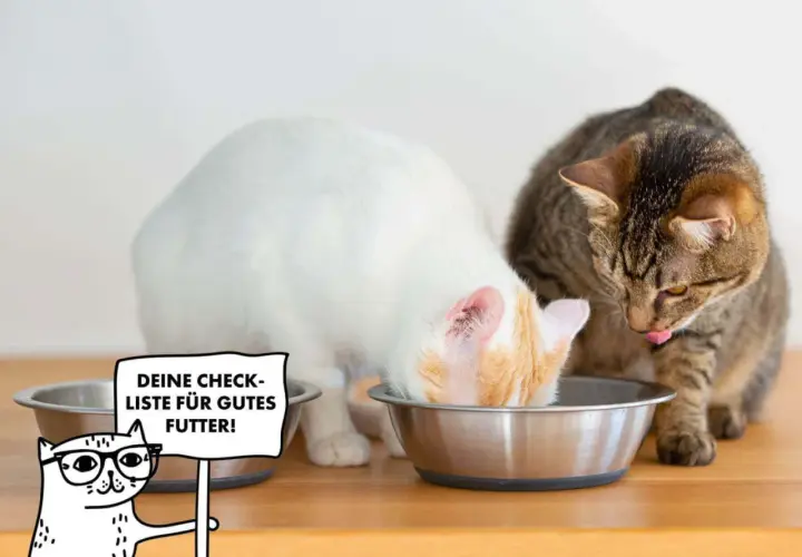 Zwei Katzen fressen aus Näpfen. Eine weiße Katze mit orangefarbenen Flecken und eine getigerte Katze. Ein Cartoon-Kätzchen mit Brille hält ein Schild: "Deine Checkliste für gutes Futter!".