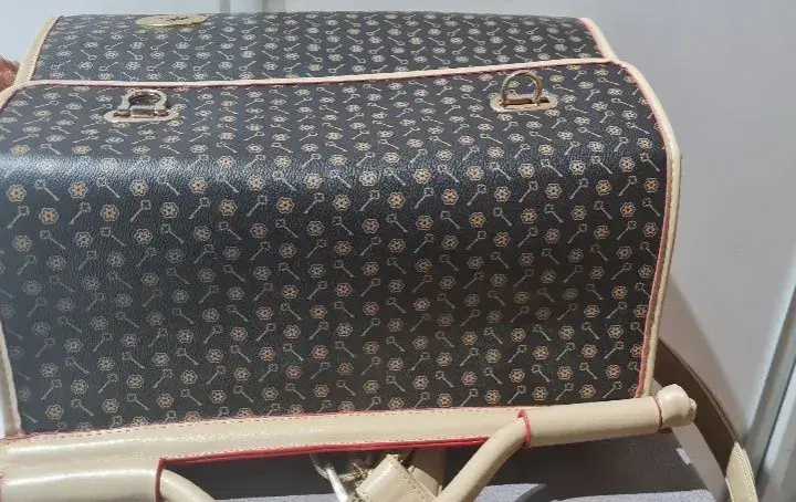 Luksusowy transporter dla psa Louis Vuitton - komfort i elegancja