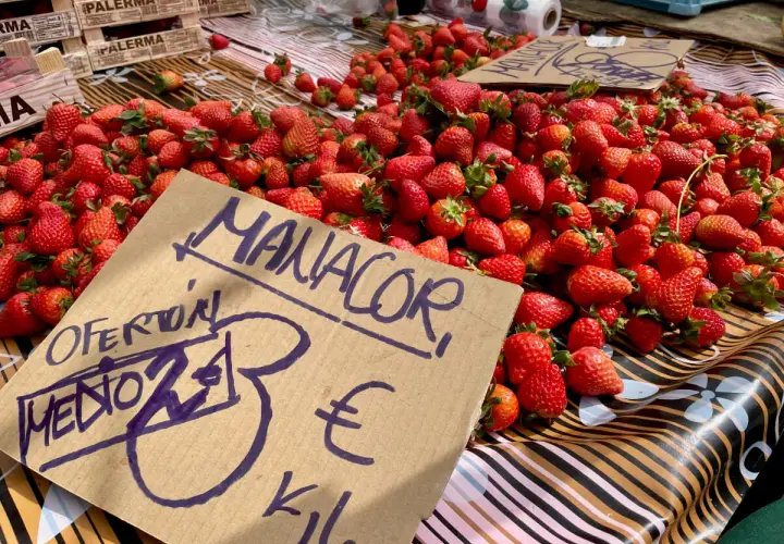 Frische Erdbeeren auf einem Markt in Manacor Altstadt. Ein Schild zeigt "Oferton Medio 3€ Kilo".