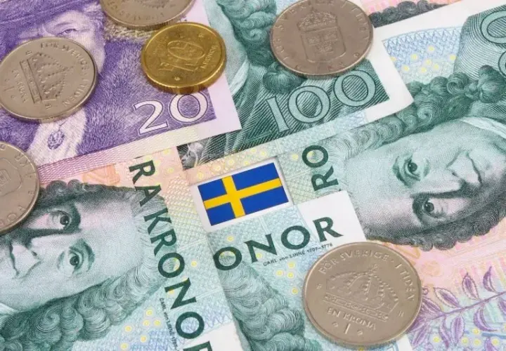 Ile zarabia dekarz w Szwecji? Zaskakujące różnice w wynagrodzeniach