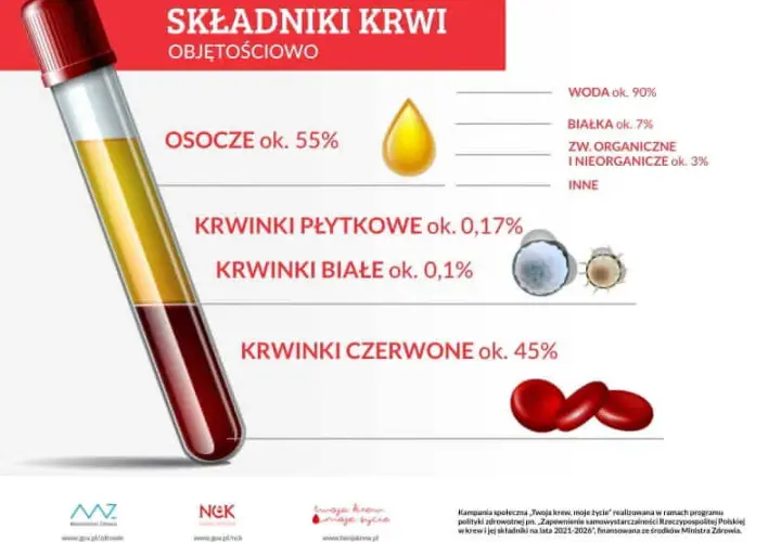 Co to jest jednostka krwi i ile dokładnie wynosi jej objętość - Poznaj fakty