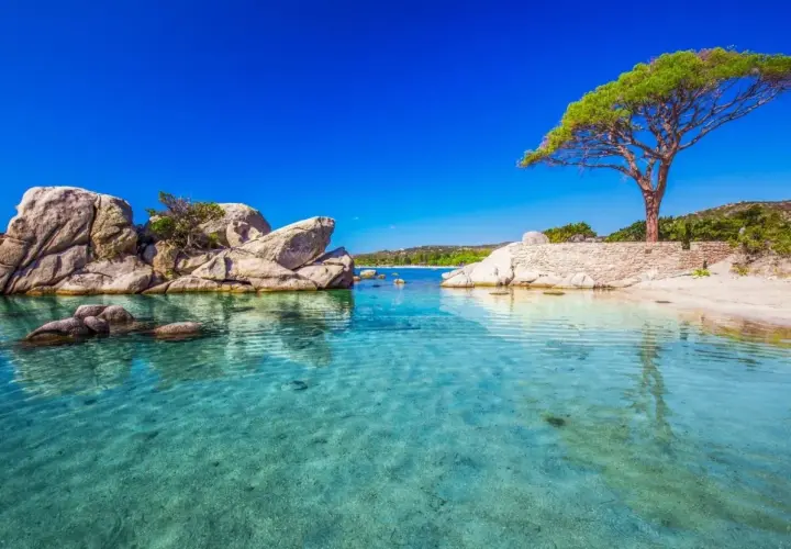 Traumhafte Bucht mit Felsen und einem Pinienbaum. Perfekt für die Frage: wohin im Oktober? Türkises Wasser lädt zum Schwimmen ein.