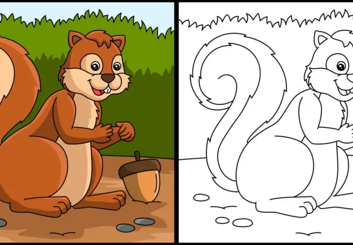 Dibujo ardilla para colorear, con su bellota lista para ser pintada.