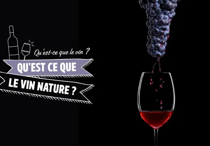 Gouttez le meilleur vin nature ! Des grappes de raisin tombent dans un verre, le vin rouge coule. Le texte "Qu'est-ce que le vin ? Qu'est-ce que le vin nature ?" est affiché.