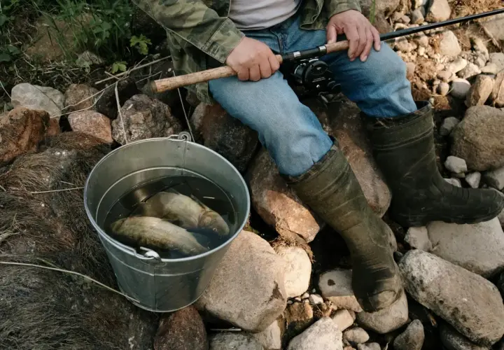 Wędkarz siedzi na kamieniach z wiadrem pełnym ryb, czekając, aż lin ma tarło.
