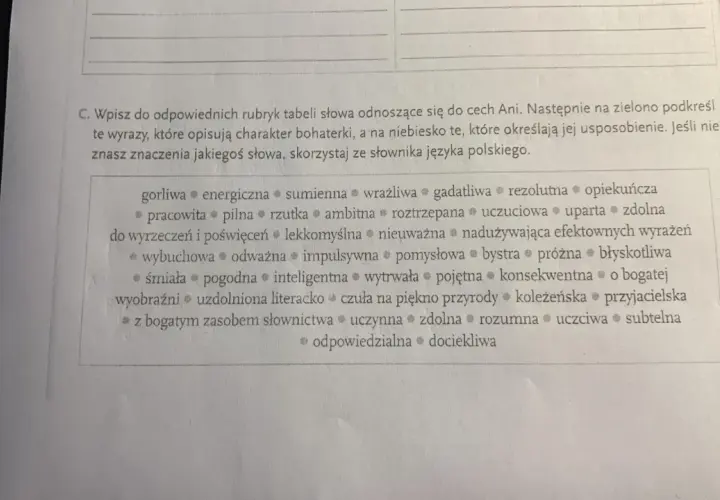 Ania Shirley: Charakterystyka. Dlaczego wciąż inspiruje?
