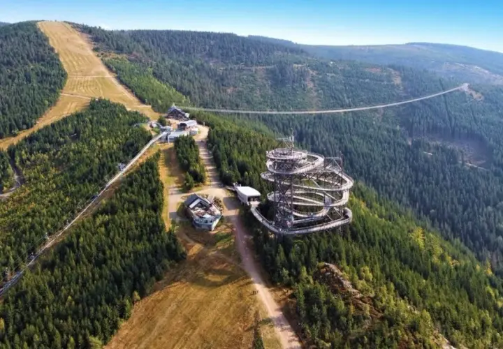 Widok na Sky Walk i najdłuższy most wiszący na świecie, otoczone gęstym lasem i górskimi zboczami.