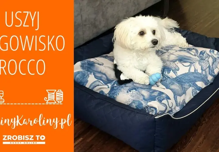 Samodzielne legowisko dla psa z poduszki? Prosty poradnik DIY!