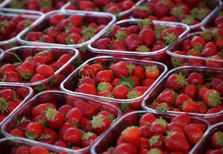 Mnóstwo świeżych truskawek w plastikowych opakowaniach. Sprawdź aktualne ceny warzyw i owoców Bronisze, by kupić te pyszności!