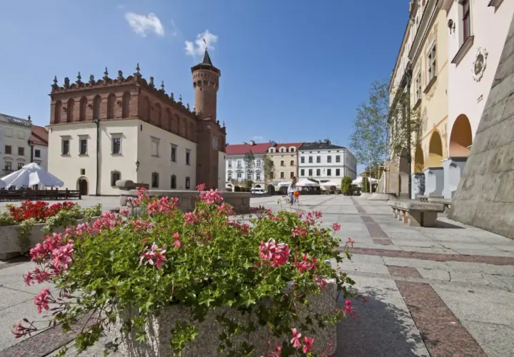 Tarnów atrakcje: Rynek z ratuszem i kamienicami, kwitnące pelargonie tworzą malowniczy widok.